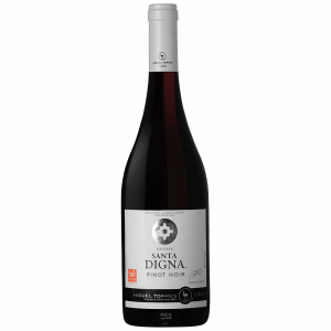 Rượu Vang Đỏ Santa Digna reserva Pinot Noir