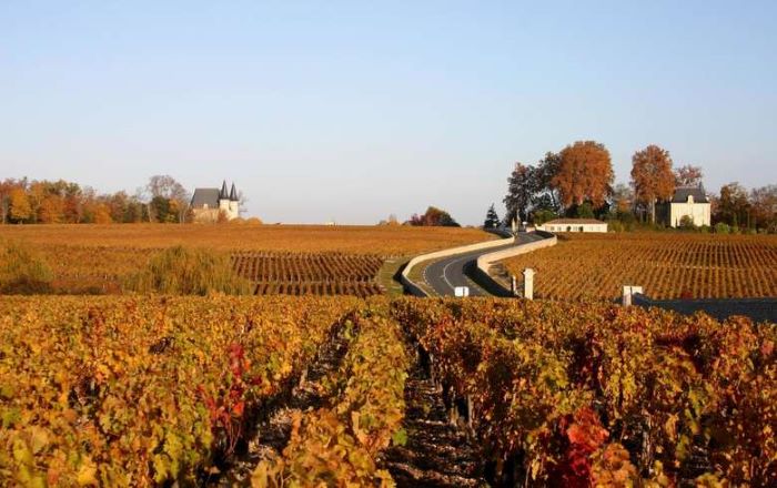 Đặc điểm của rượu vang vùng Bordeaux