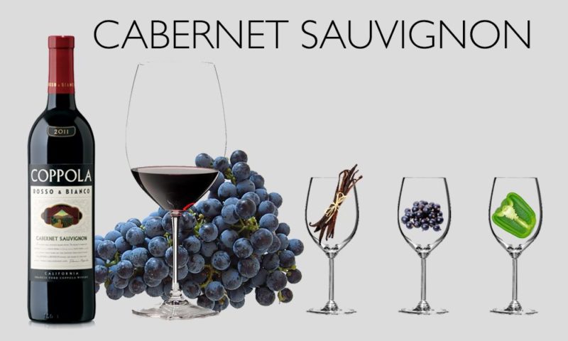 Những điều chưa biết về nho Cabernet Sauvignon