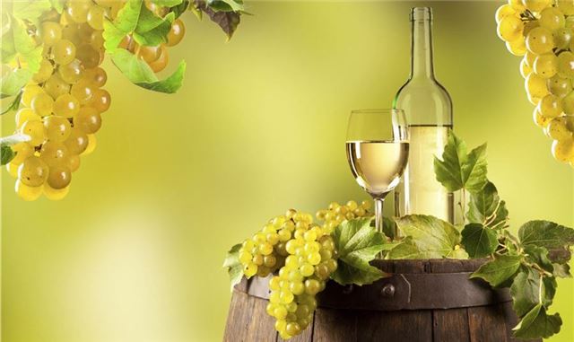 Những giống nho làm rượu vang trắng phổ biến nhất