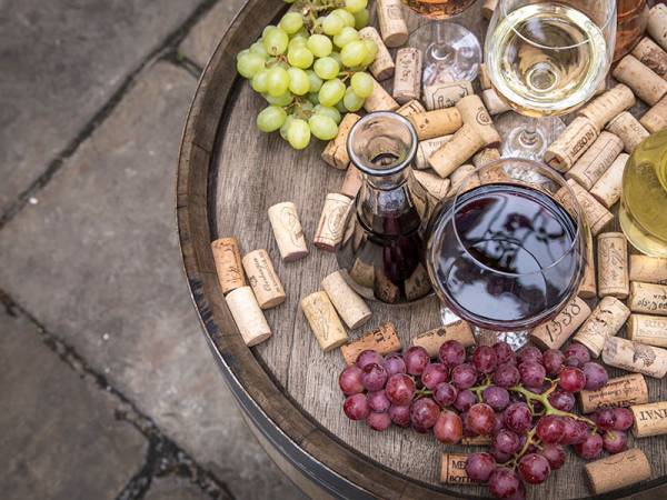 Tìm hiểu về rượu vang cựu lục địa và tân thế giới