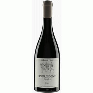 Rượu Vang Pháp Domaine Benoit Ente Bourgogne Pinot Noir