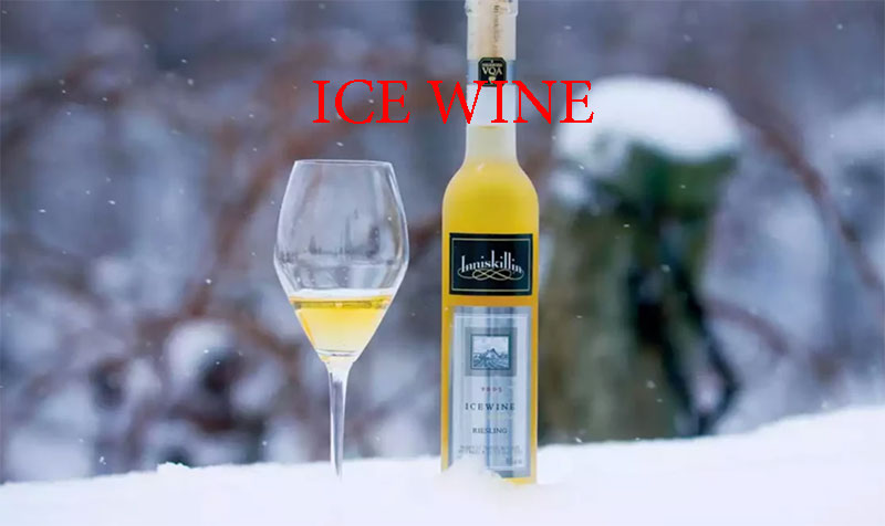 Ice Wine - Rượu vang đá